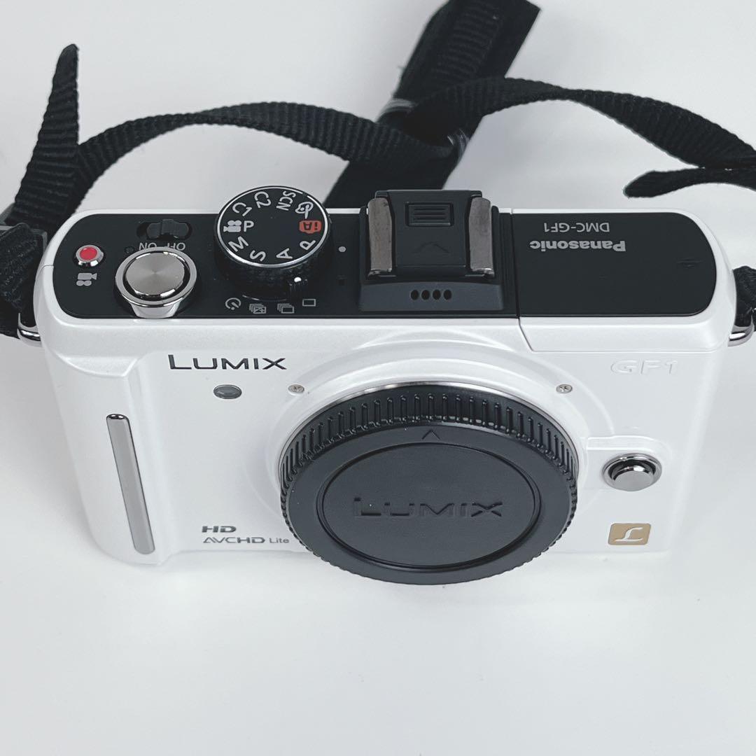 Panasonic DMC-GF1 ミラーレスカメラ本体 バッテリーチャージャ付