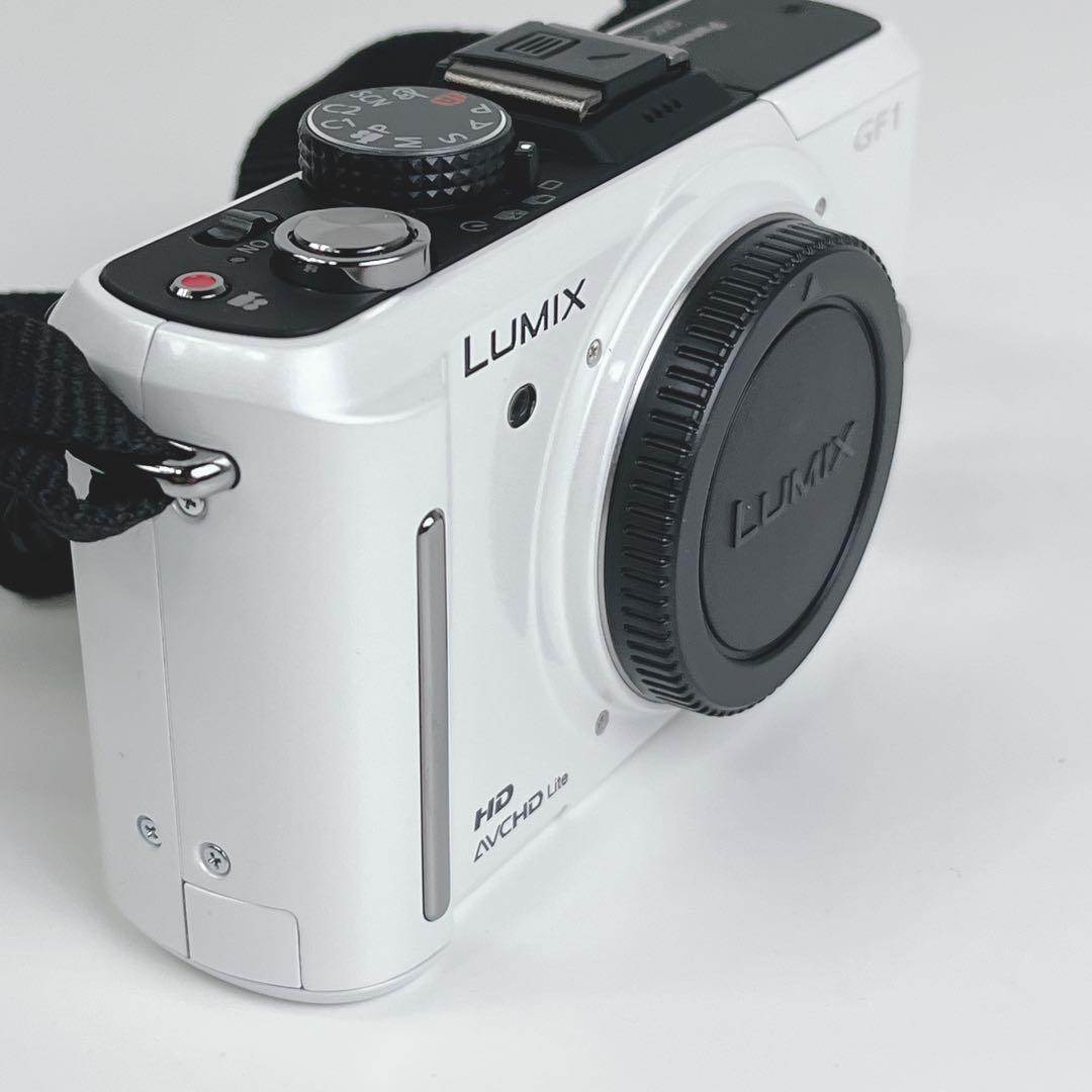 Panasonic DMC-GF1 ミラーレスカメラ本体 バッテリーチャージャ付