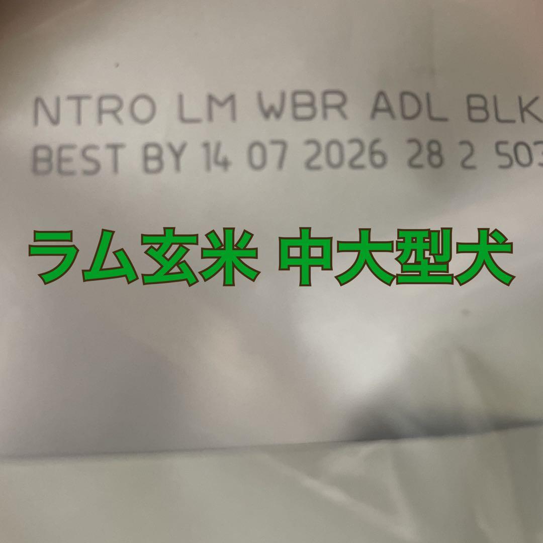 ナチュラルチョイス ラム玄米 成犬用ドッグフード