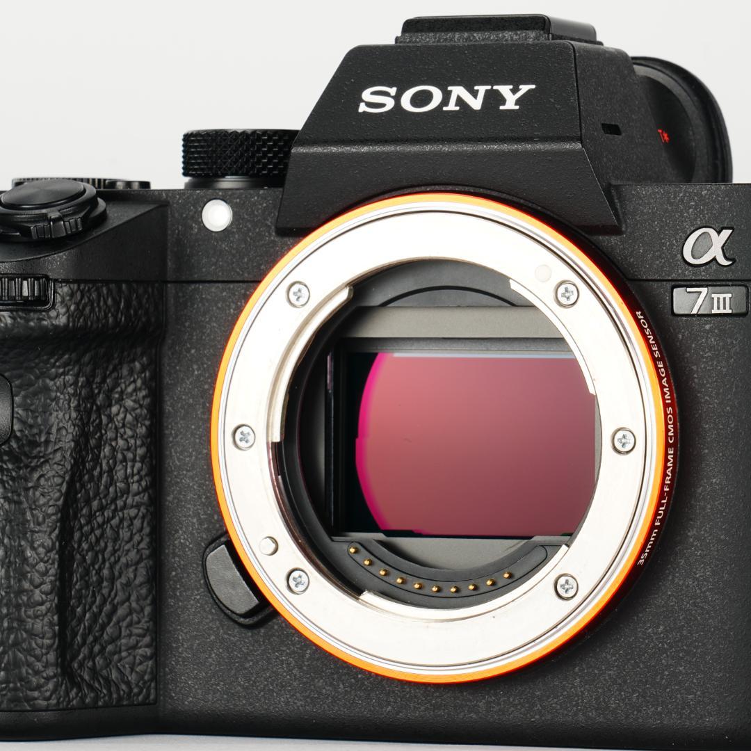 【完全セット】SONY α7III超美品！11,755回/20万 すぐ撮影可能