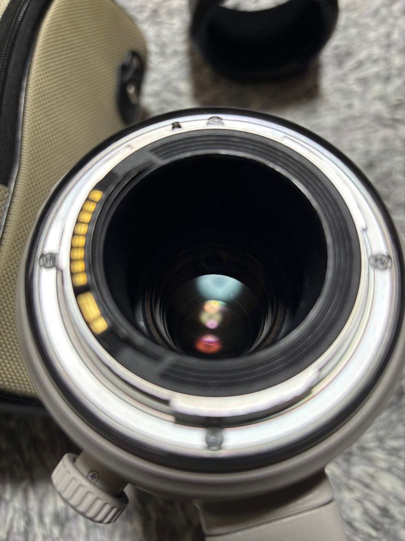 レンズ(ズーム) Canon EF 100-400mm f/4.5-5.6L IS II USM