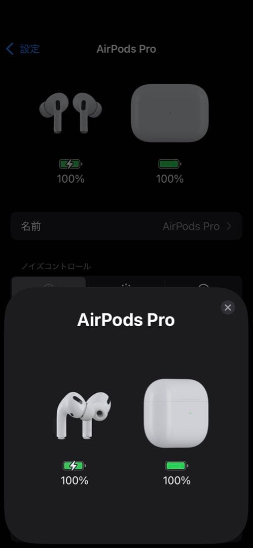 AirPods Pro 本体と充電ケース