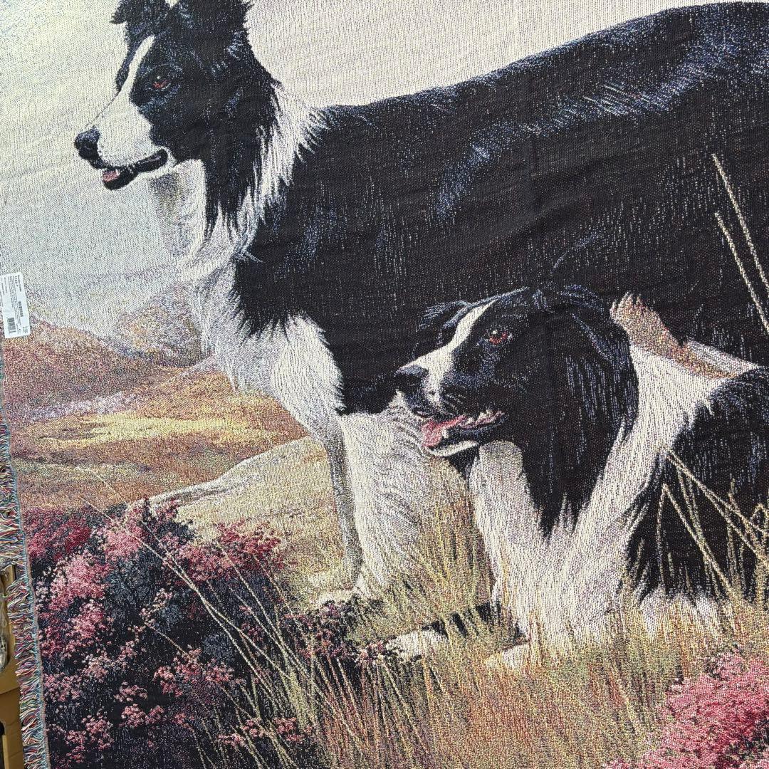 USA製　ヴィンテージ　ボーダーコリー　超大判ラグ　タペストリー　コットン.