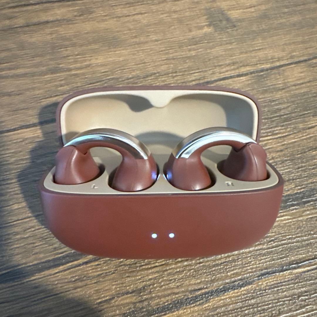 黒*ジ様 victor HA-NP1T マルーン