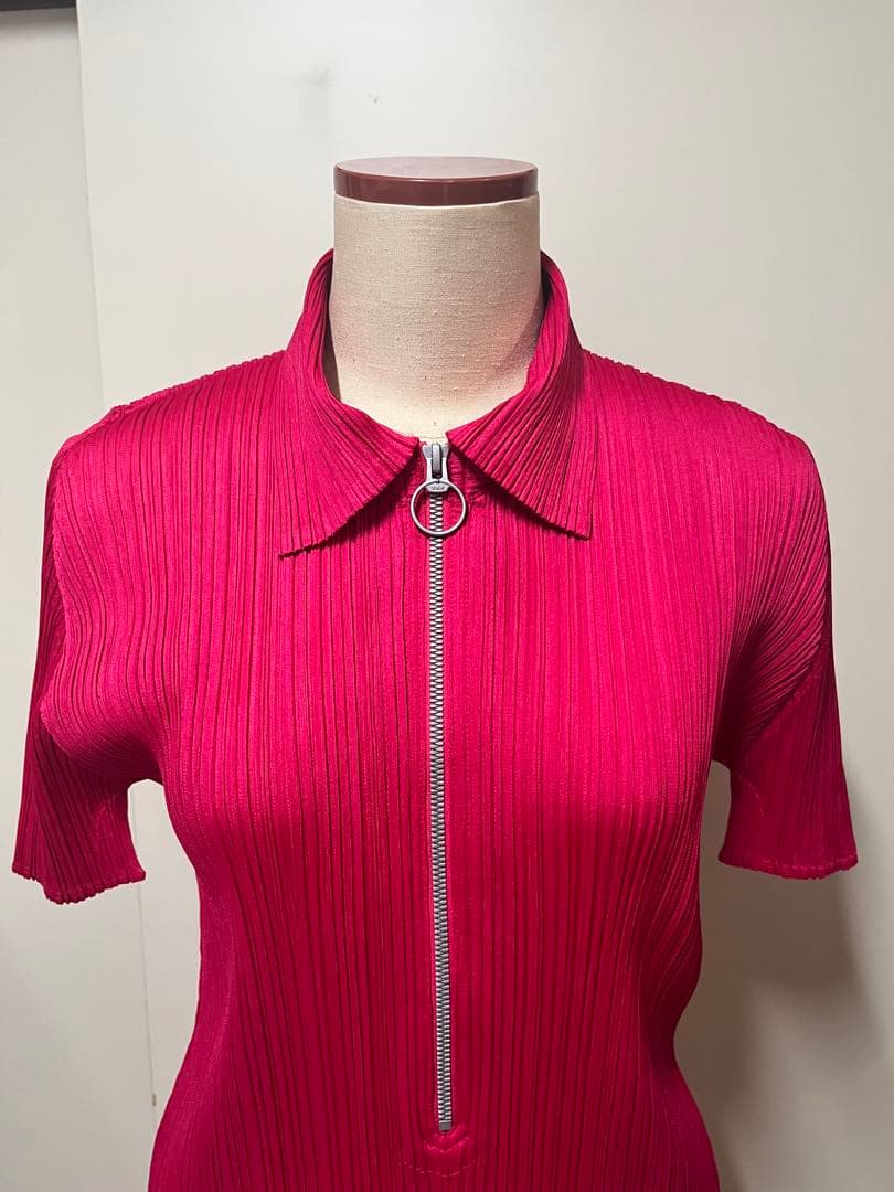 プリーツプリーズ