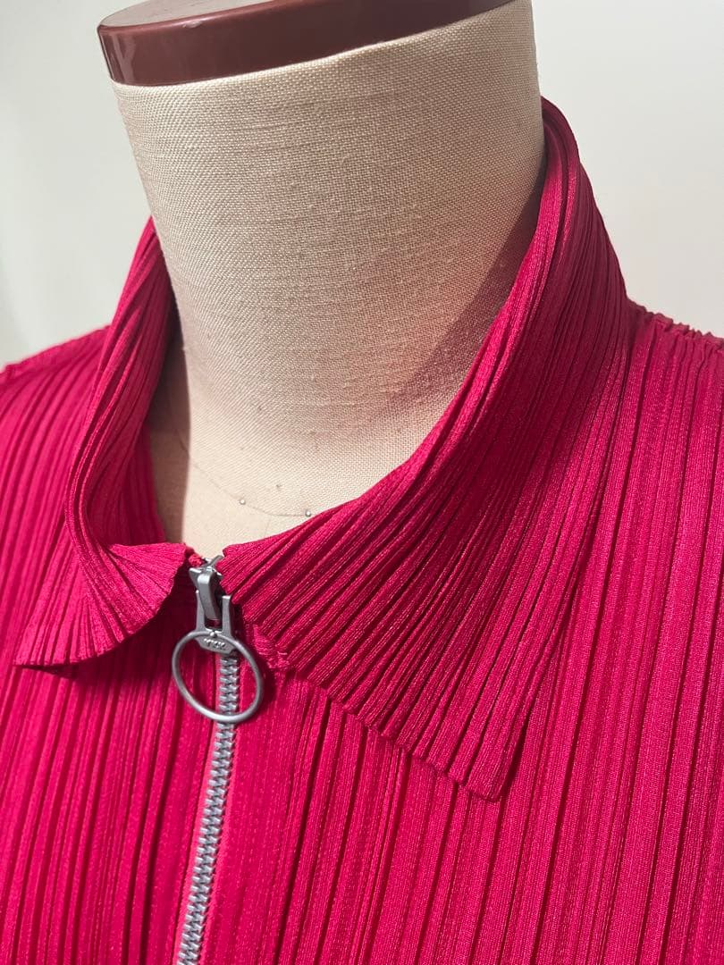 プリーツプリーズ