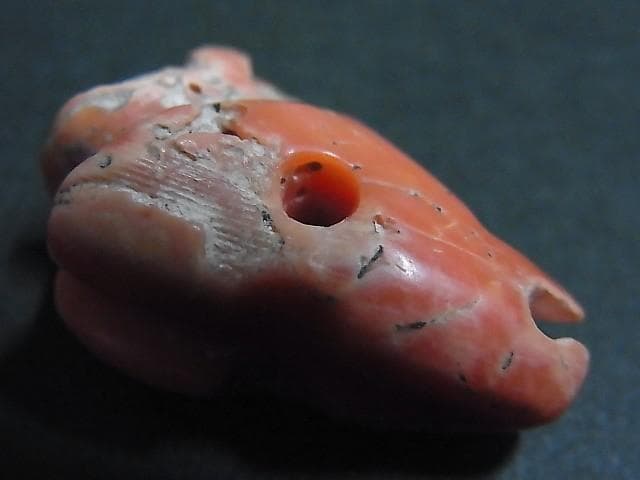 ★K2105★ 古代石(126)　大粒　珊瑚 ビーズ　神獣　護符　アミュレット