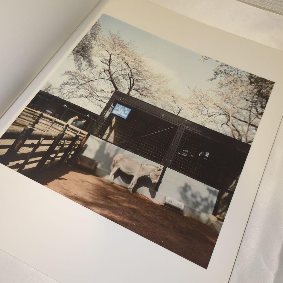 【希少】原美樹子『These are days』写真集 Mikiko Hara