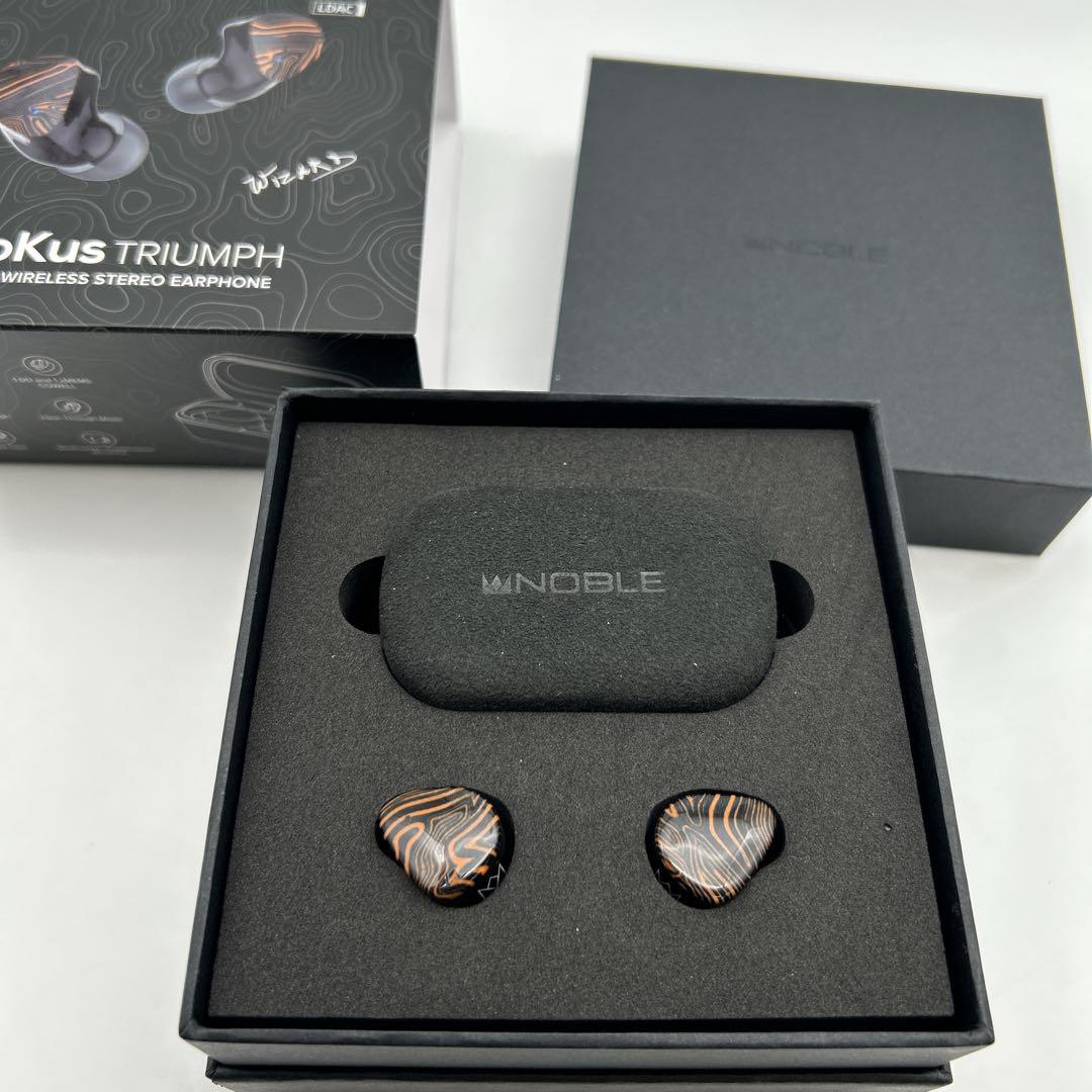 FoKus Triumph ワイヤレスイヤホン　極美品
