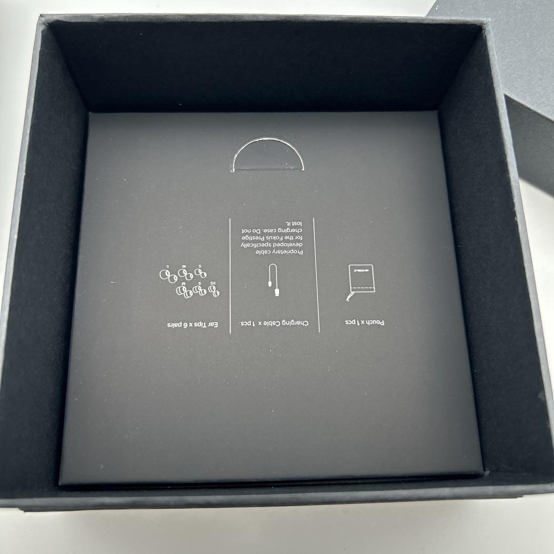 FoKus Triumph ワイヤレスイヤホン　極美品