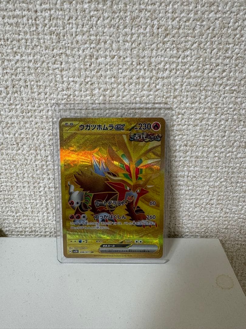 た*ん様 メガサーナイトEX & ダグポンラムEX セット