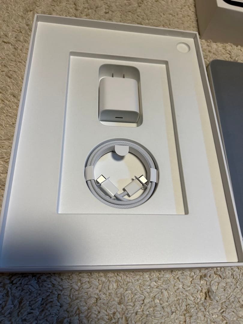 Apple iPad 代10世代 wifiモデル ホワイト 本体