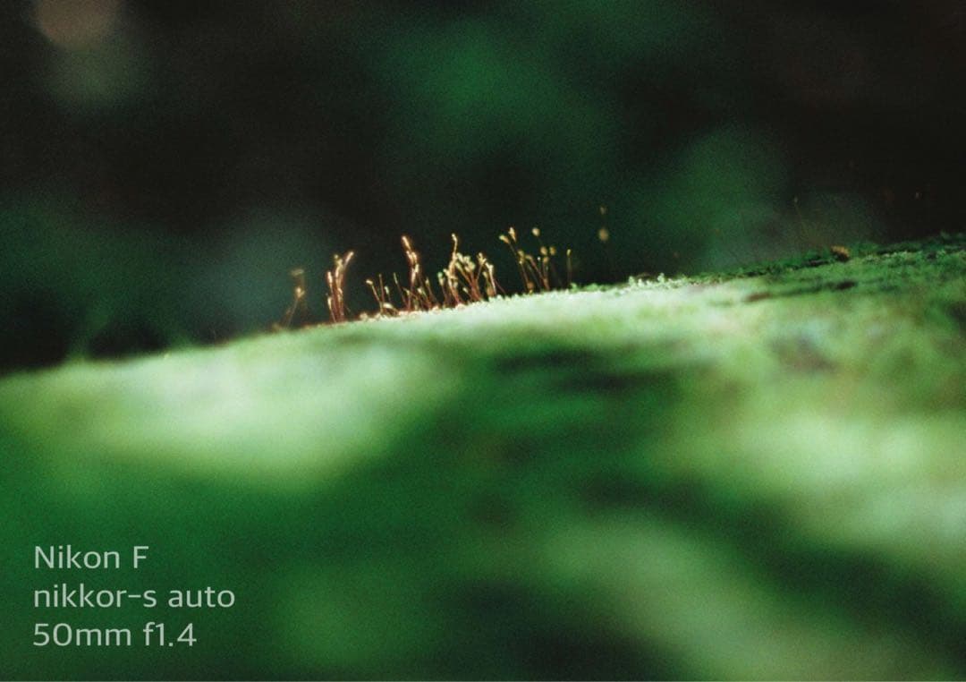 ★完動品＊美品★nikon f★f1.4レンズセット★動作確認済み＊作例多数