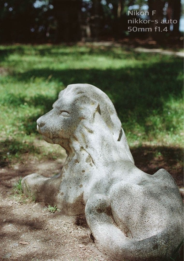 ★完動品＊美品★nikon f★f1.4レンズセット★動作確認済み＊作例多数