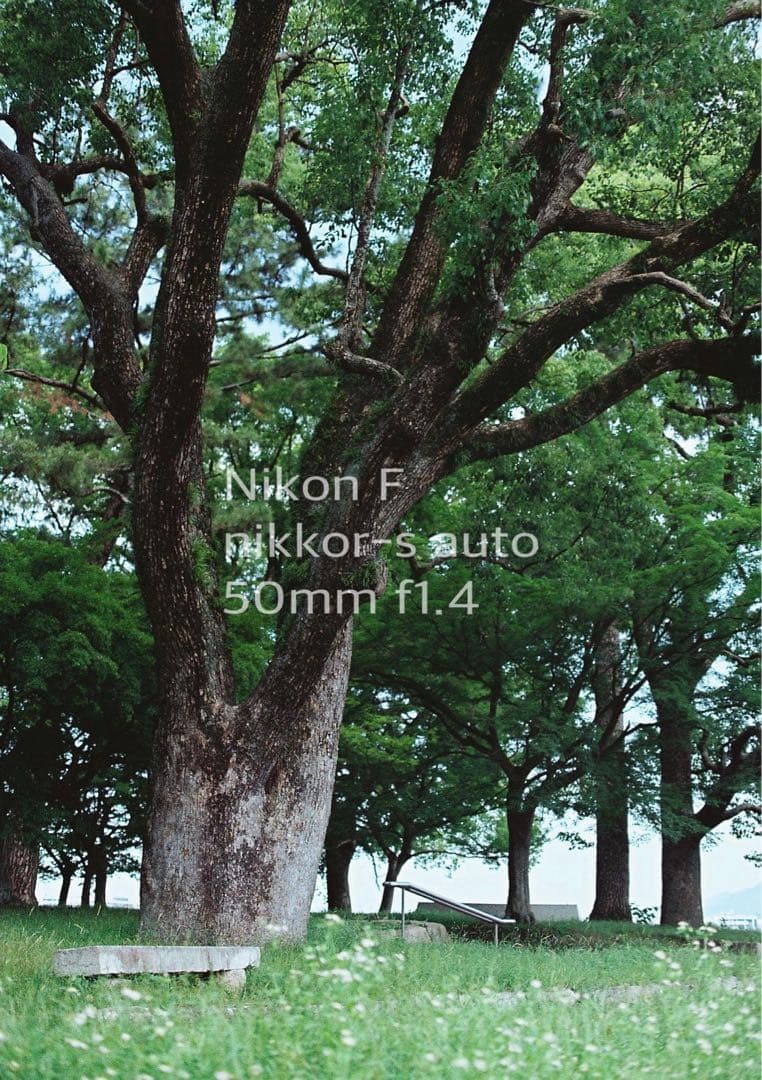 ★完動品＊美品★nikon f★f1.4レンズセット★動作確認済み＊作例多数
