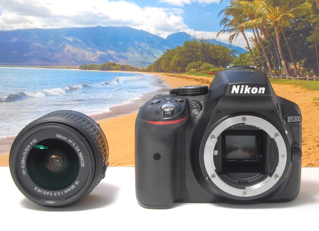 美品❤️Nikon D5300 ダブルレンズ 箱付き WiFi転送機能搭載 人気