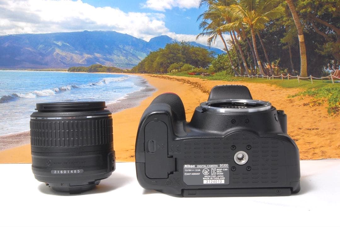 美品❤️Nikon D5300 ダブルレンズ 箱付き WiFi転送機能搭載 人気