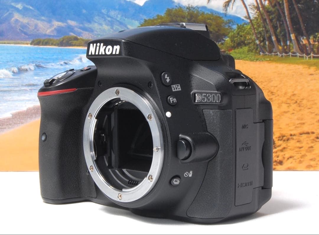 美品❤️Nikon D5300 ダブルレンズ 箱付き WiFi転送機能搭載 人気
