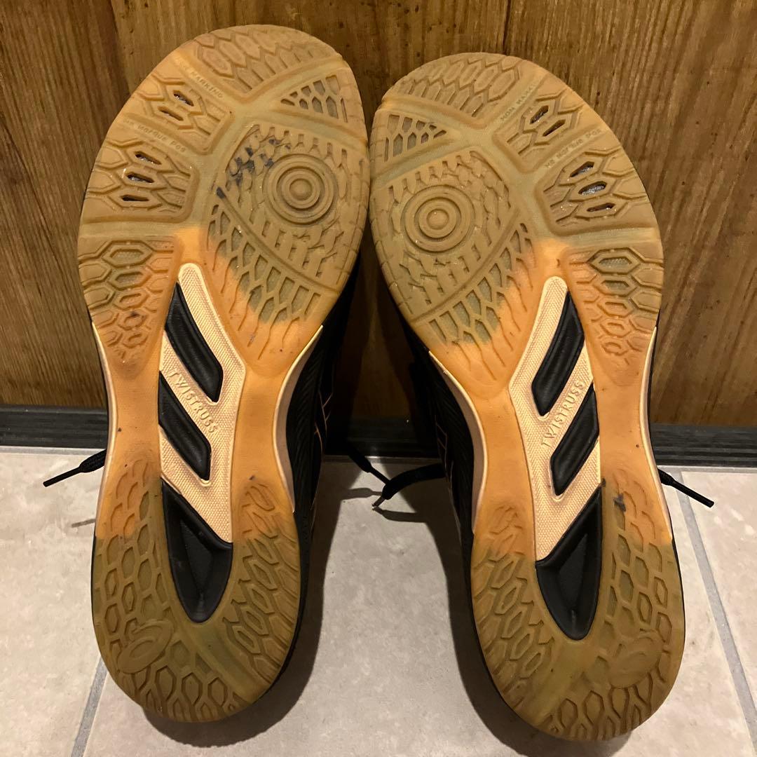 ROTE JAPAN LYTE FF 3 asics バレーボールシューズ