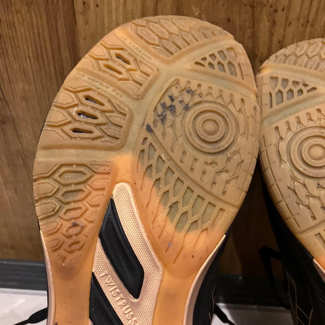 ROTE JAPAN LYTE FF 3 asics バレーボールシューズ