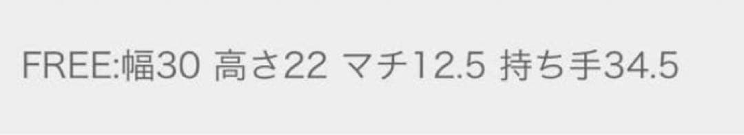 GIANNI NOTARO ジャンニノターロ レザー ハンド ショルダー バッグ