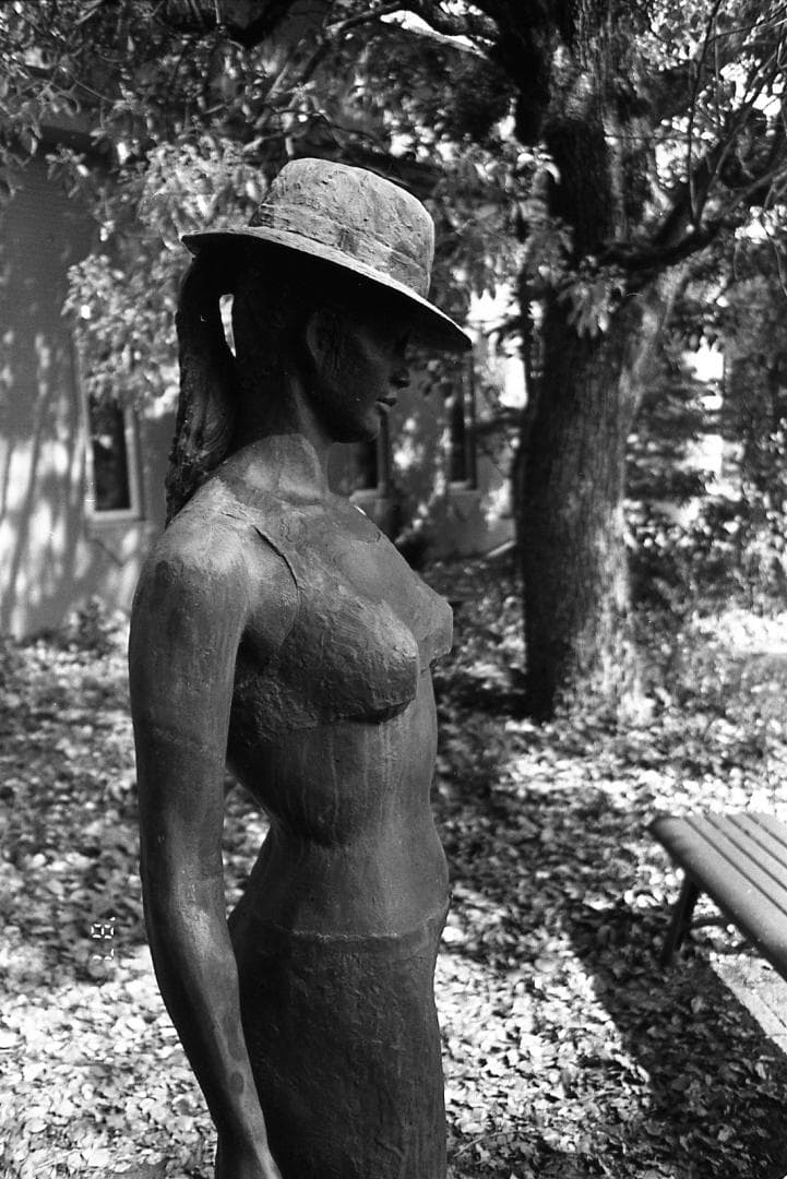 【完動品・美品】Konica BIG mini 301 LIMITED