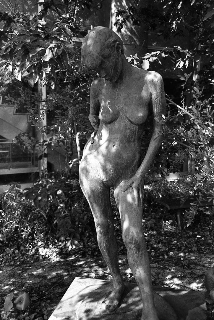 【完動品・美品】Konica BIG mini 301 LIMITED