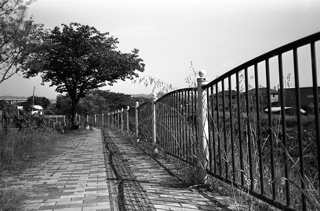 【完動品・美品】Konica BIG mini 301 LIMITED