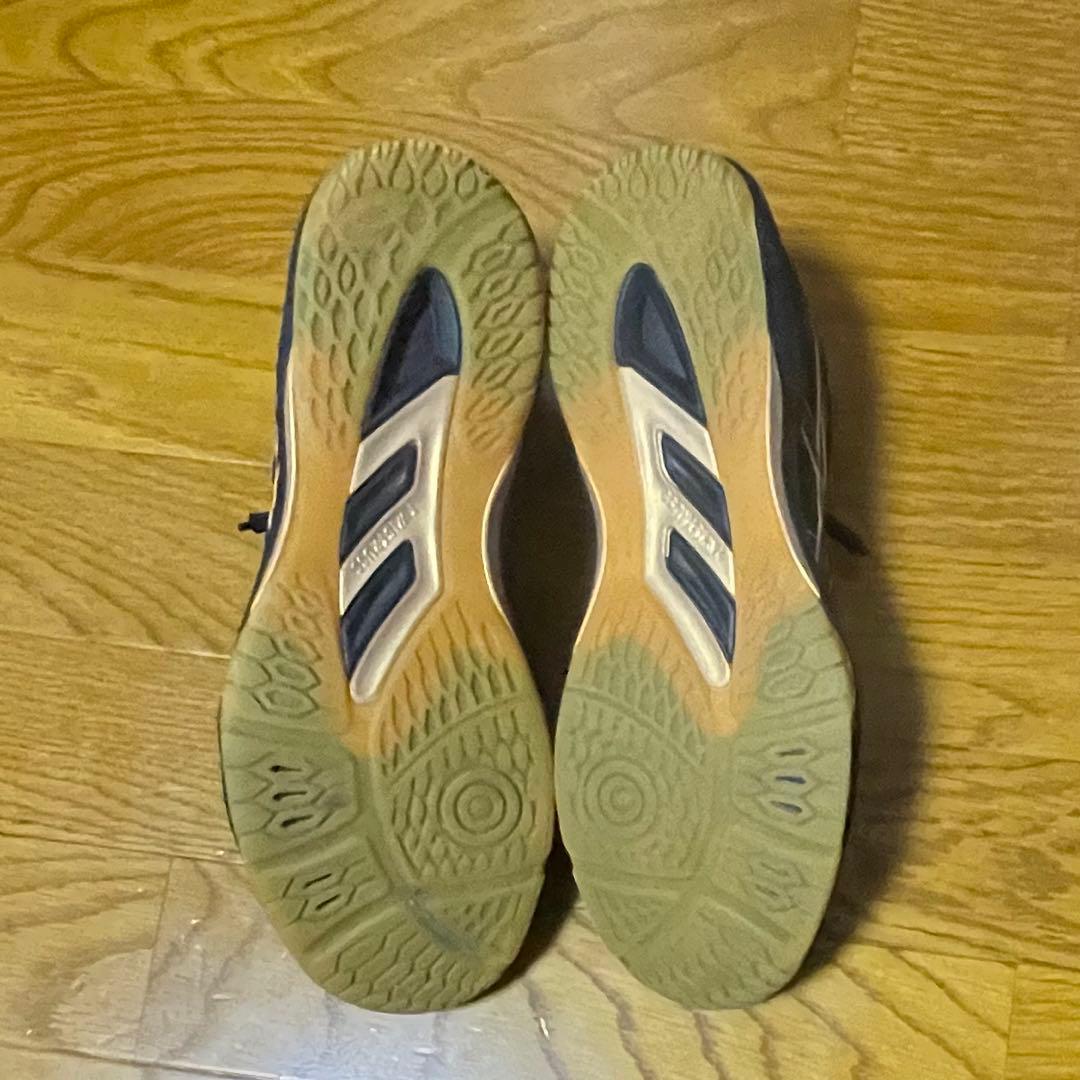 【美品】ローテジャパン 26.0