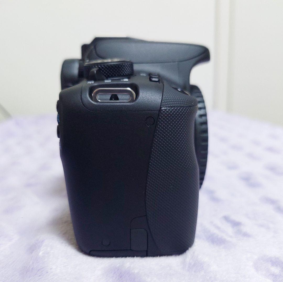 Canon EOS kiss 7x レンズキット おまけ付き