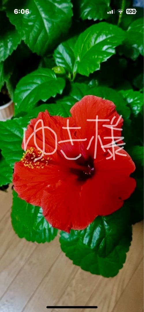 K24 ペンダント　1g