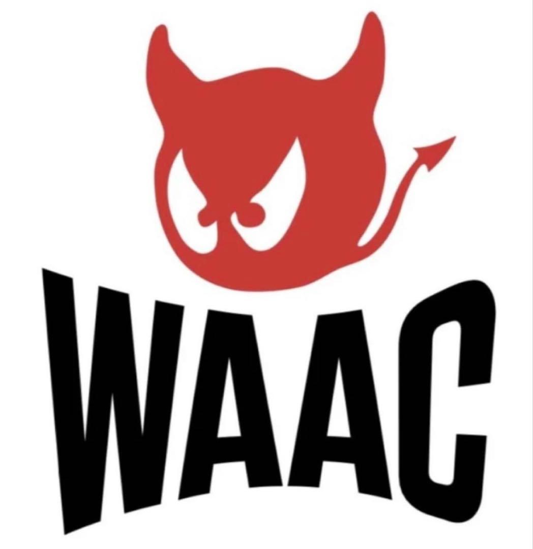 WAAE ミントグリーン セーター Wロゴ