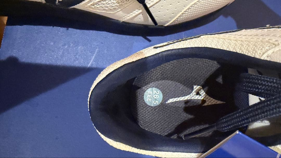 Mizuno Almighty LS 2 11L 26.5cm安全靴