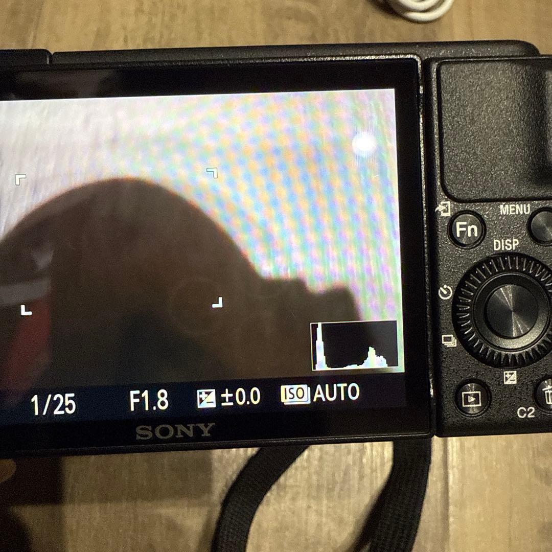 SONY ZV-1 コンパクトデジタルカメラ　カメラケース付き！！