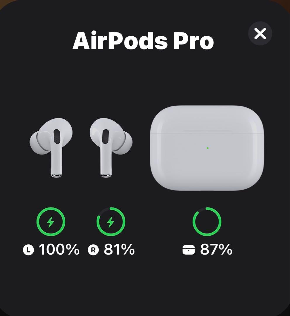 【Apple】AirPods Pro1 美品