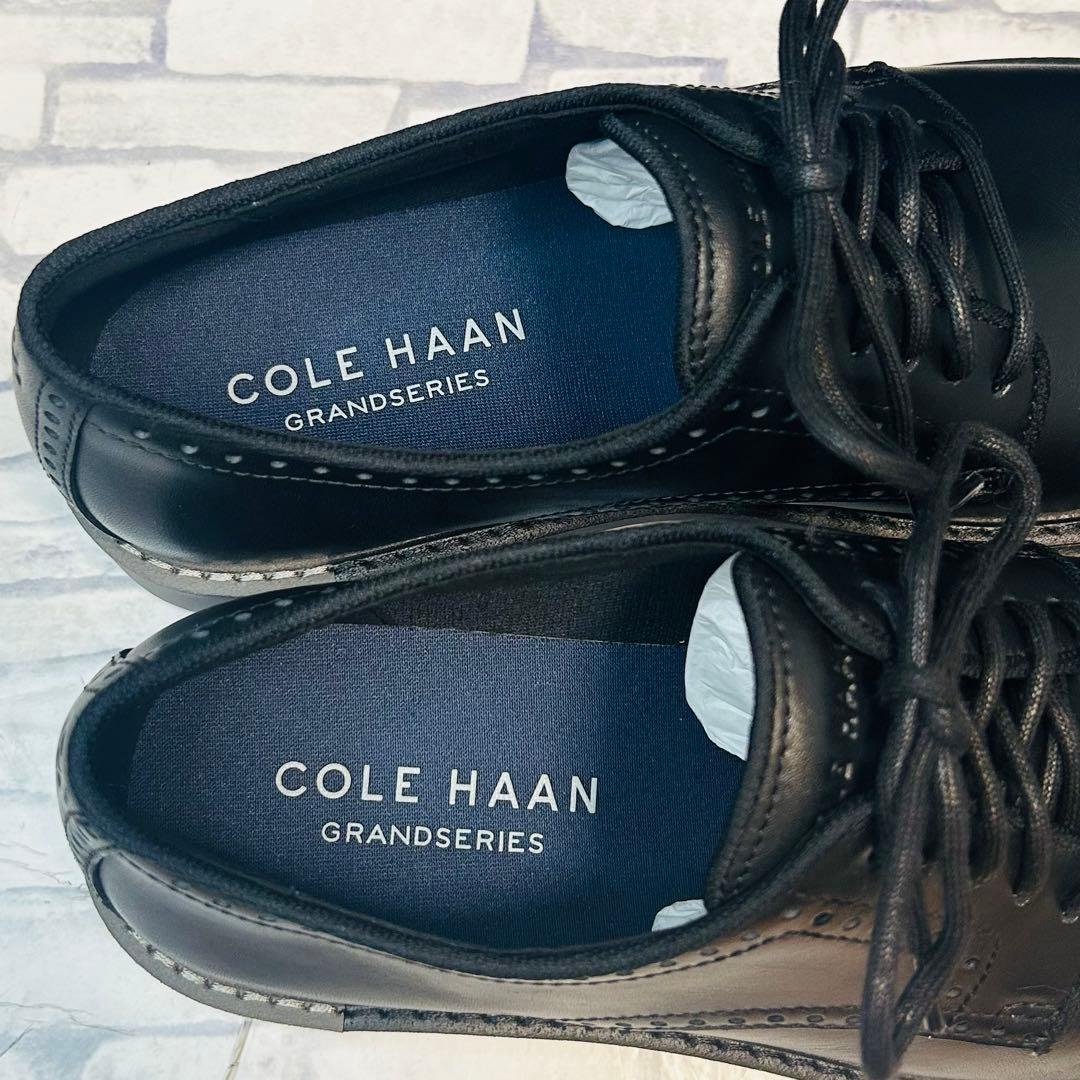 新品 Cole Haan ザ ゴートゥー プレーントゥーオックスフォード 26㎝