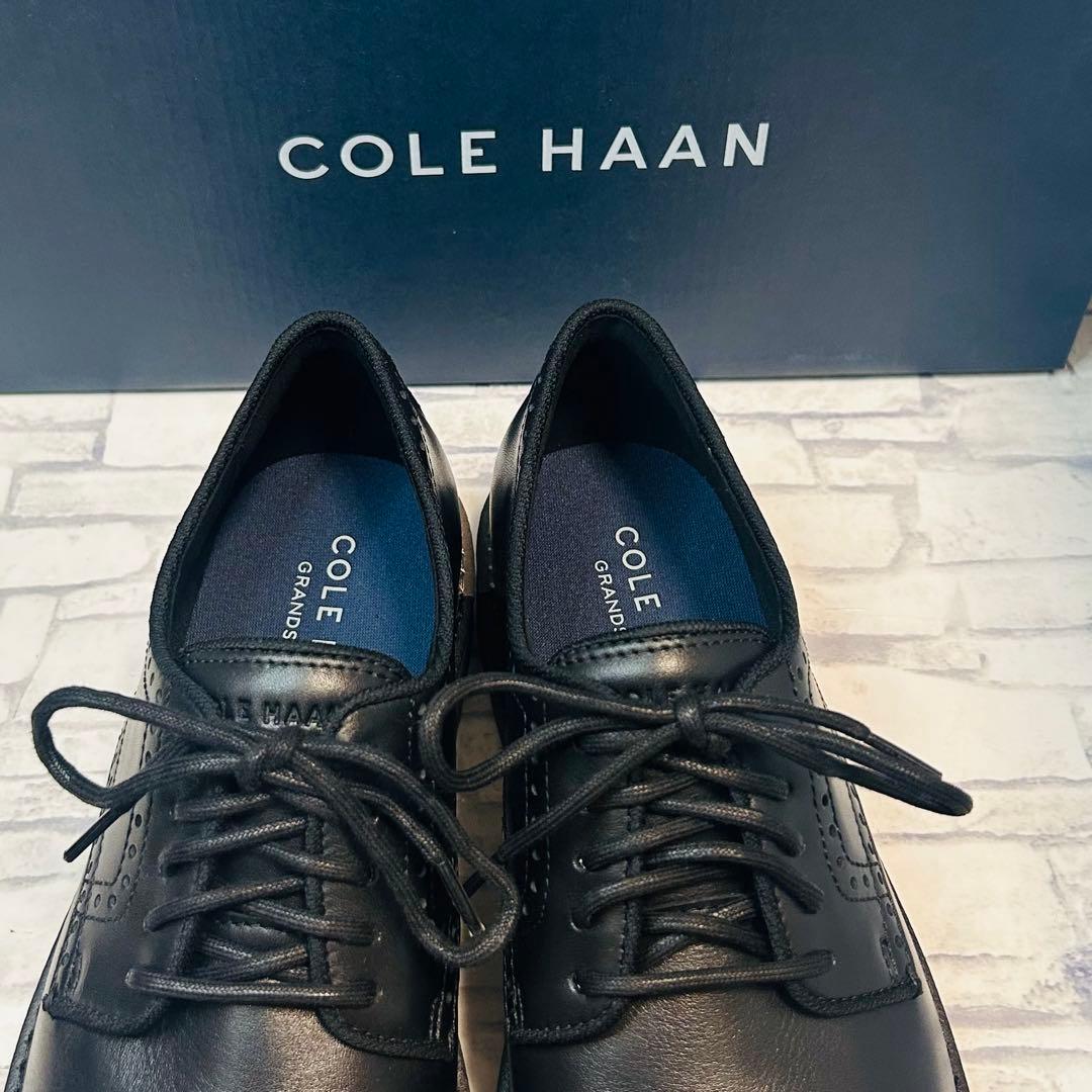 新品 Cole Haan ザ ゴートゥー プレーントゥーオックスフォード 26㎝