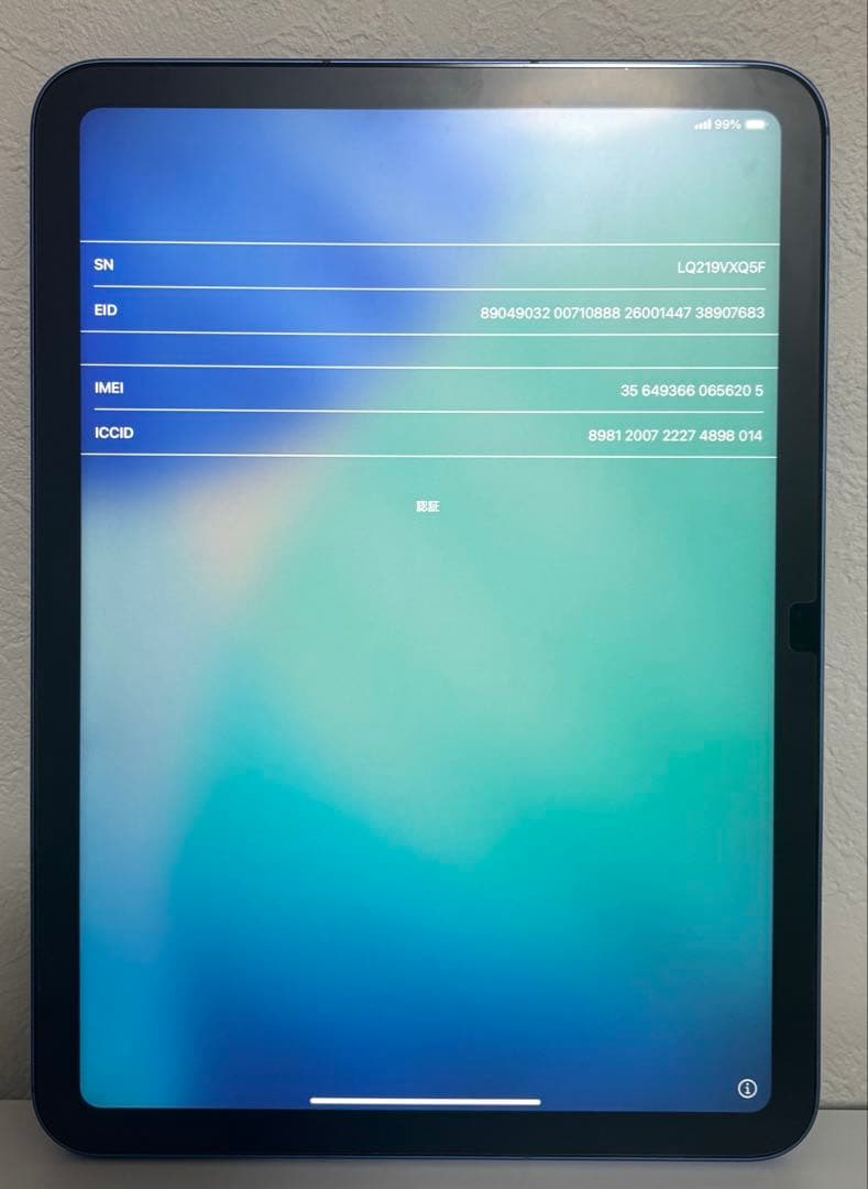 iPad（第10世代）Wi-Fi + Cellular 256GB