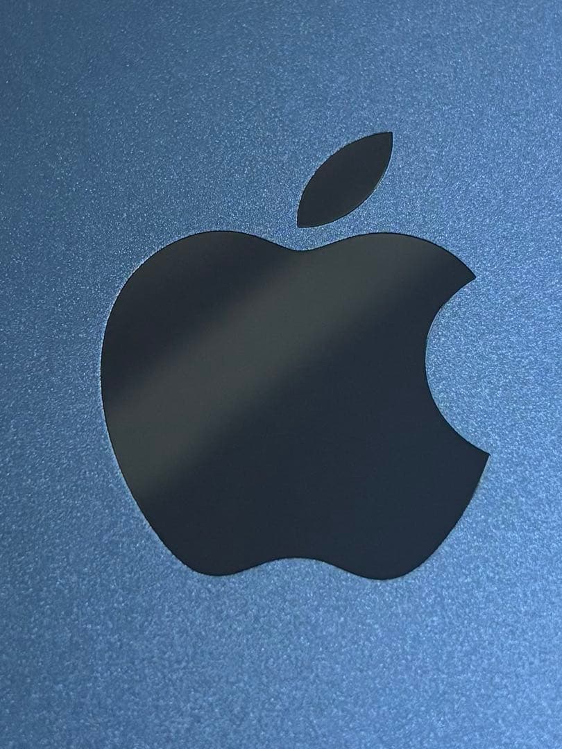 iPad（第10世代）Wi-Fi + Cellular 256GB