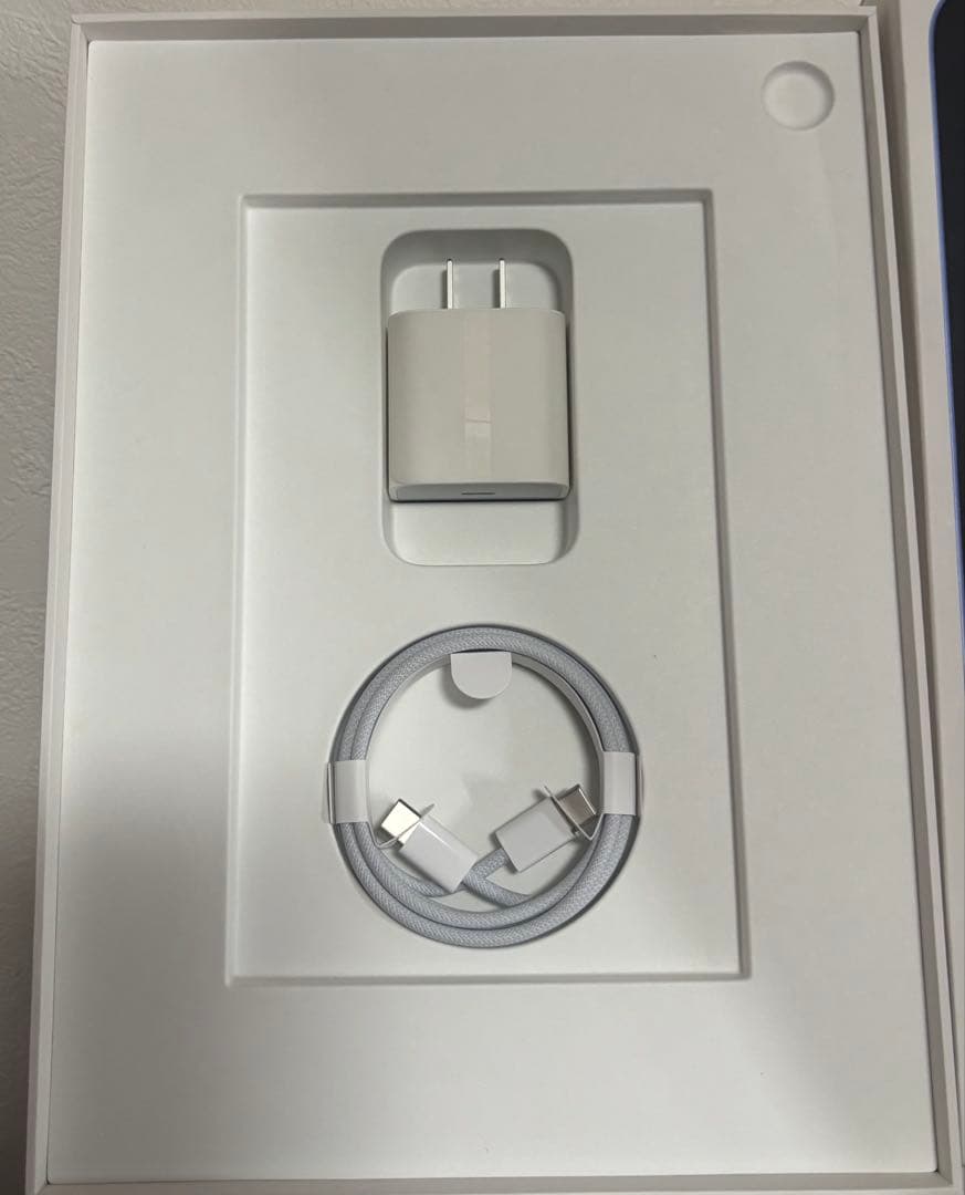 iPad（第10世代）Wi-Fi + Cellular 256GB