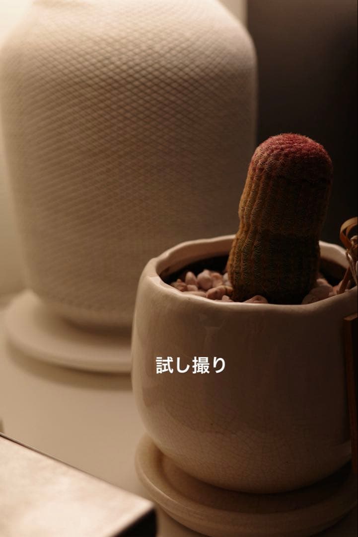 【新品】RICOH GRIIIxコンパクトデジタルカメラ 【11/13購入】