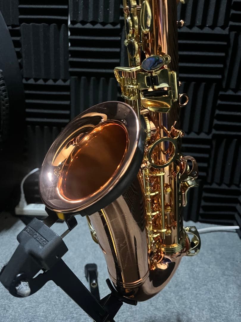 【新品】アルトサックス 銅メッキ クリアラッカー仕上げ