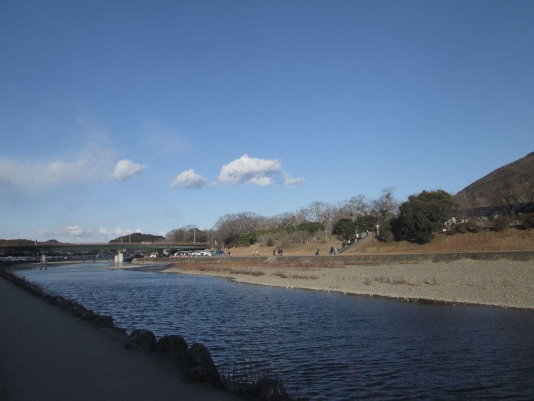 動作確認済 デジカメCANON　PowerShot A2600