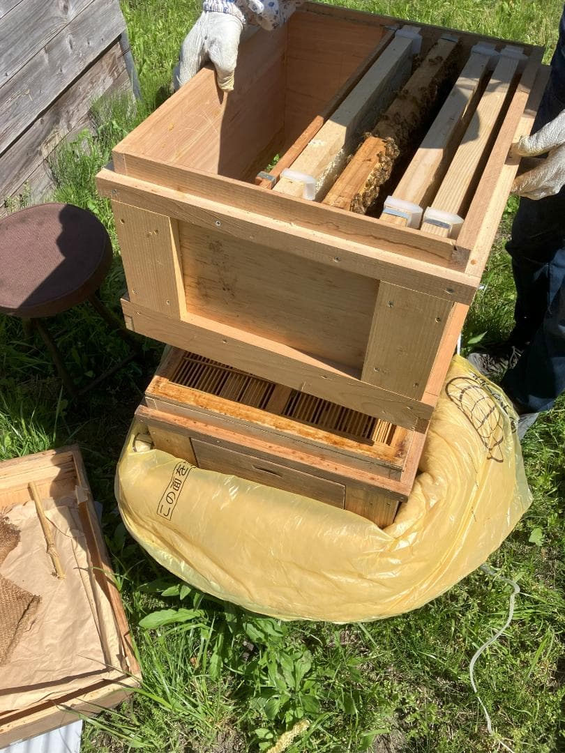 【令7蜜】百花蜜 1000g 2本 長野県産 国産蜂蜜 生はちみつ 西洋蜜蜂