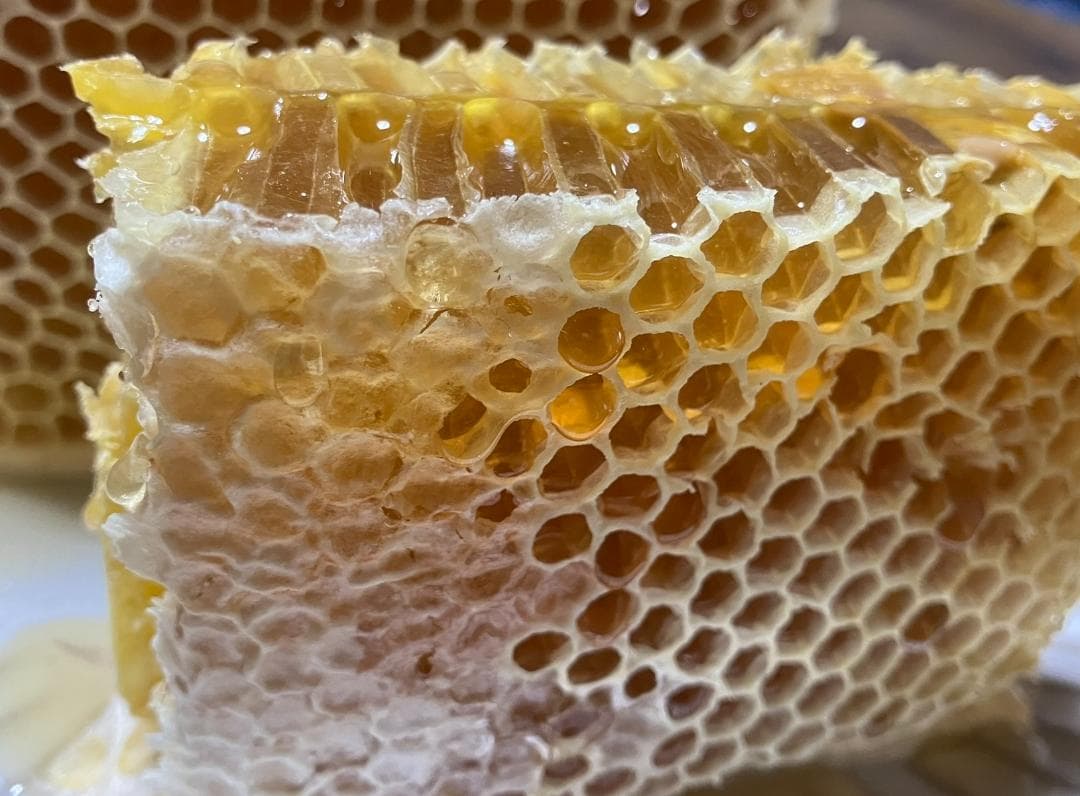 【令7蜜】百花蜜 1000g 2本 長野県産 国産蜂蜜 生はちみつ 西洋蜜蜂