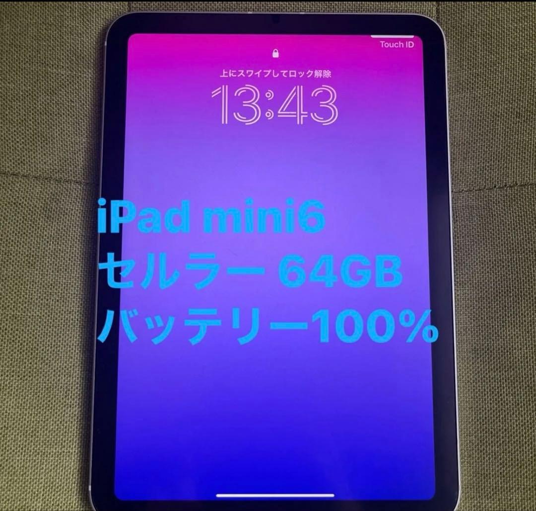 じ*ろ様 iPad mini (第6世代) 64GB セルラー スターライト