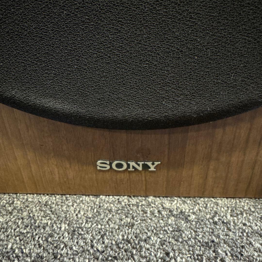 ソニー SONY アクティブ サブウーファー SA-W3000