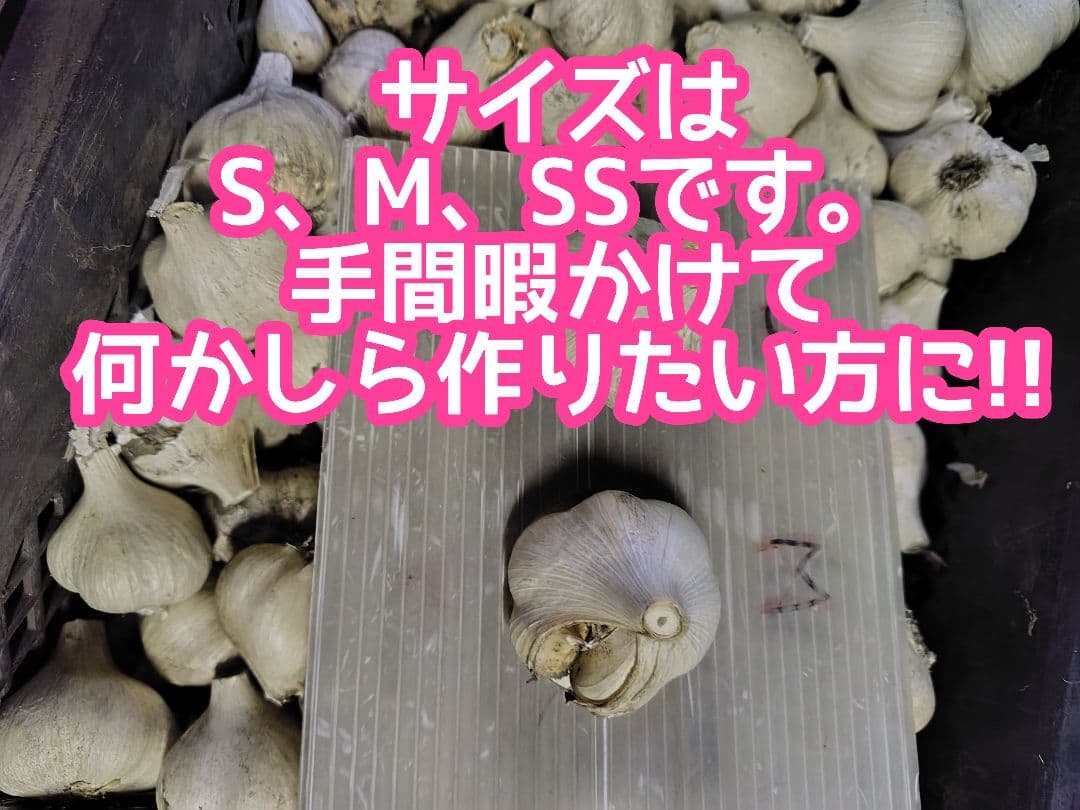 も*と様 青森県産ニンニク小玉10キロ以上!在庫処分セール青森県産にんにく訳あり