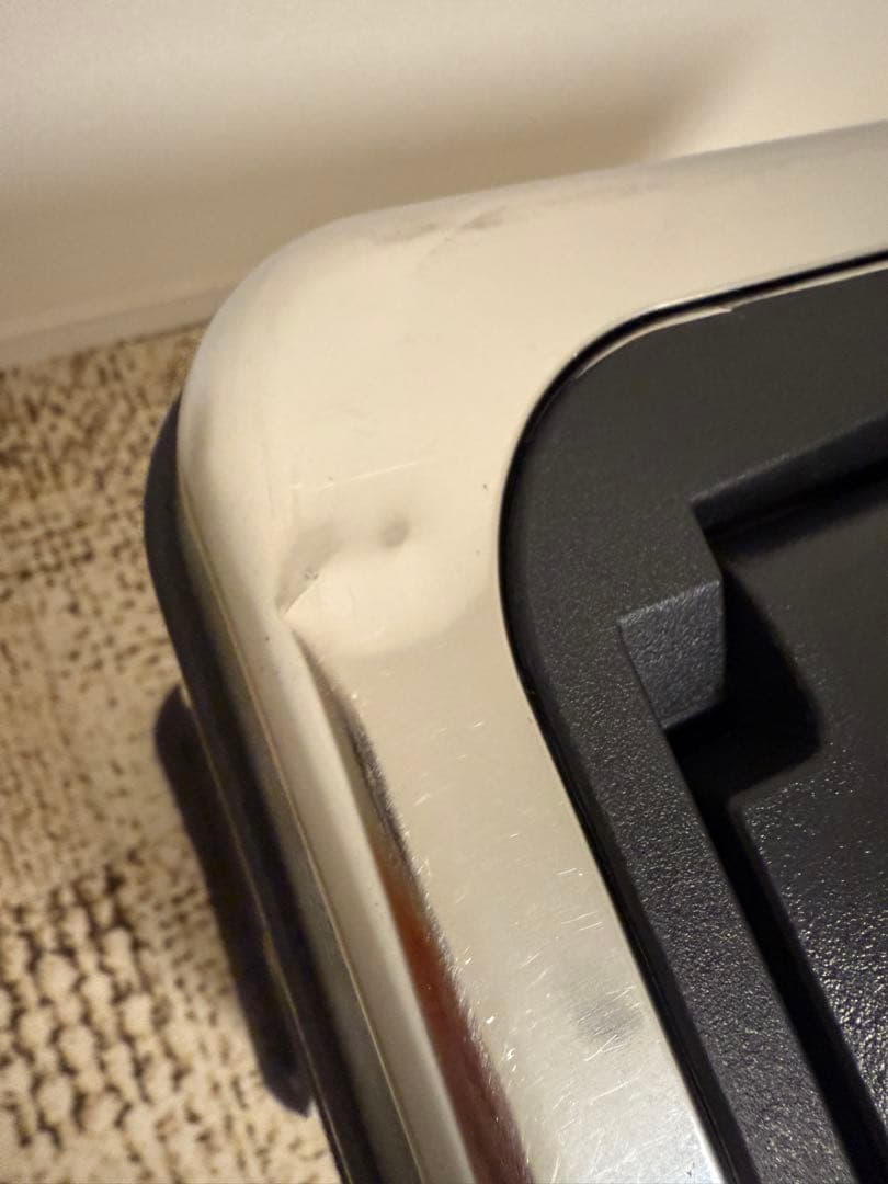 DULTON TWIN RUBBISH BIN 30L×2 ダルトンゴミ箱