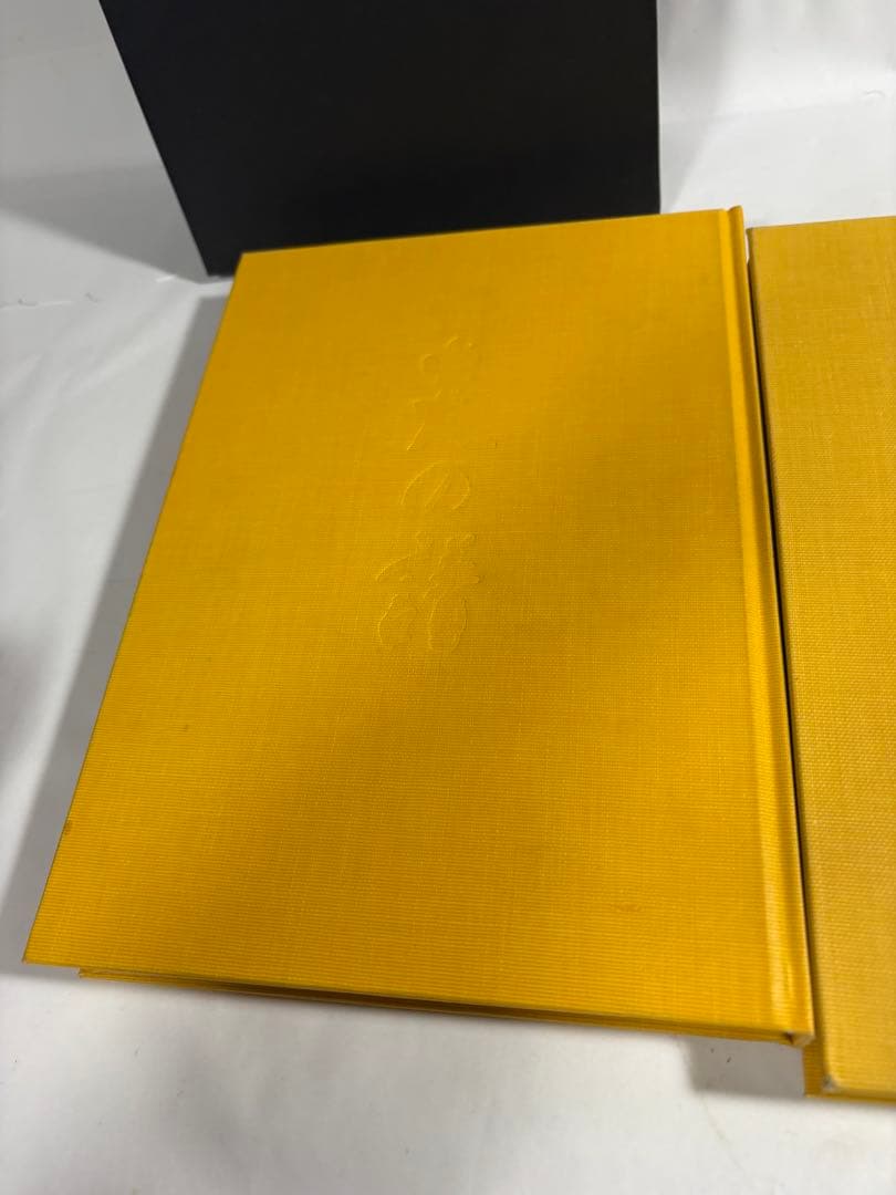 炎の譜　坂田栄男　上下巻